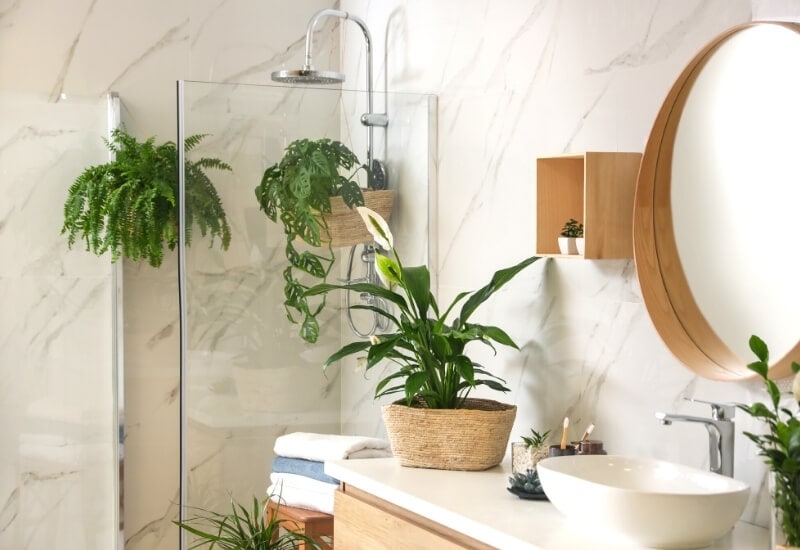 Placing Plants in a Bathroom